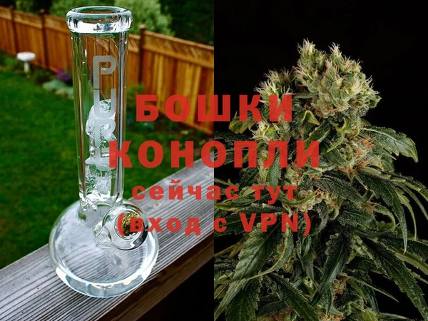 крисы Богданович